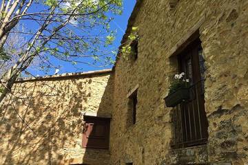 Cabaña para 10 Personas en Pardines, Pirineos, Foto 4