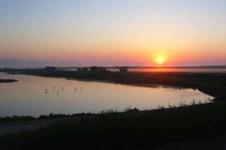 Maison d’hôte pour 2 personnes, avec terrasse en Camargue